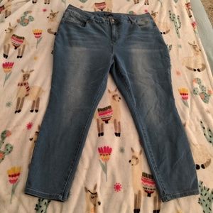 Royalty Ankle Skinny High Rise Skinny Jean